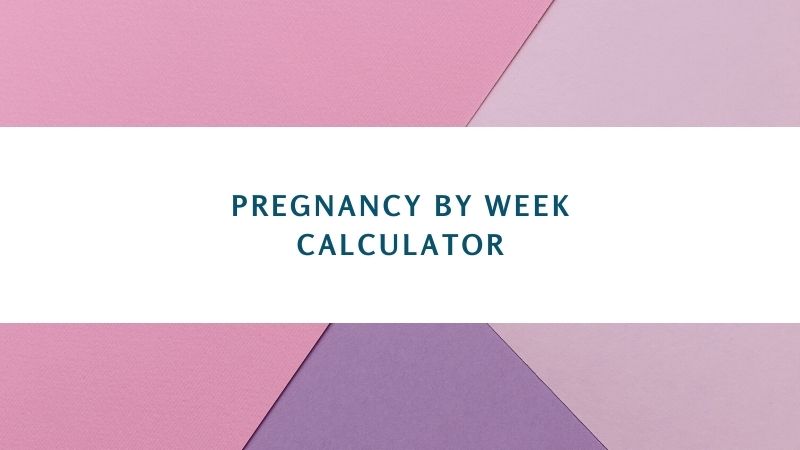 Pregnancy By Week Calculator