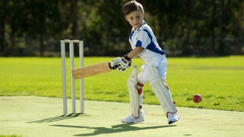 Best Cricket Bats for Kids 2022